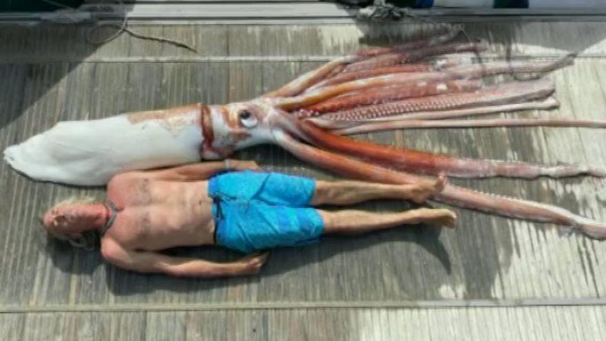Así es el calamar gigante encontrado en las aguas de Canarias