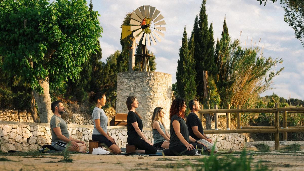 Meditación al ritmo pausado de las aspas del Molí de l'Abiar
