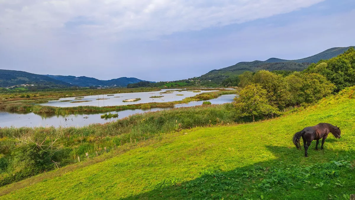 Descubre Busturialdea-Urdaibai en un viaje por la historia, naturaleza y tradición de Bizkaia
