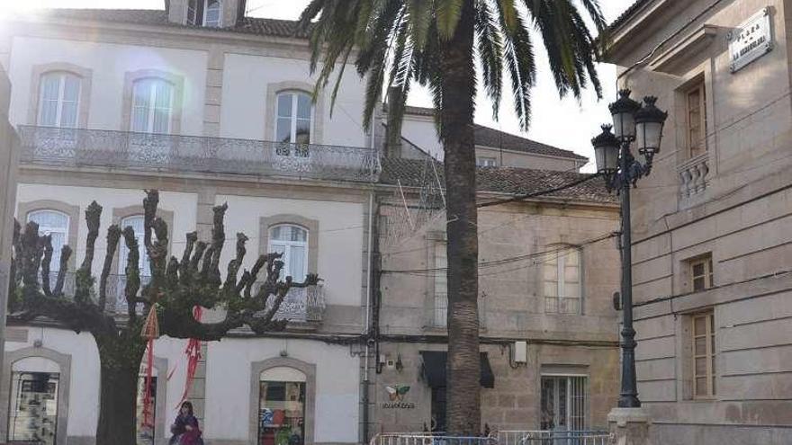 La última palmera centenaria del centro de Tui va a desaparecer. // J. V.