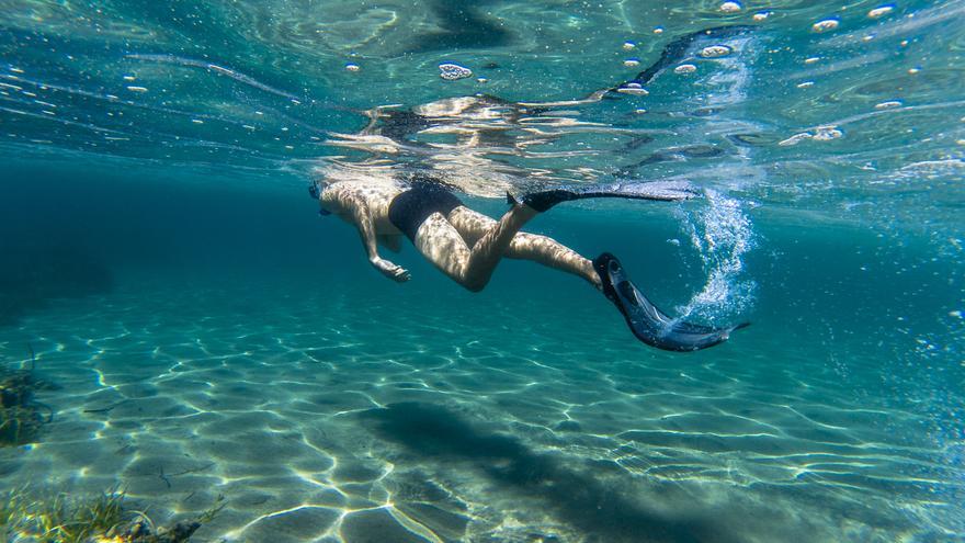 El &#039;turismo azul&#039;, la mejor manera de descubrir la riqueza de los fondos marinos de la Costa Cálida