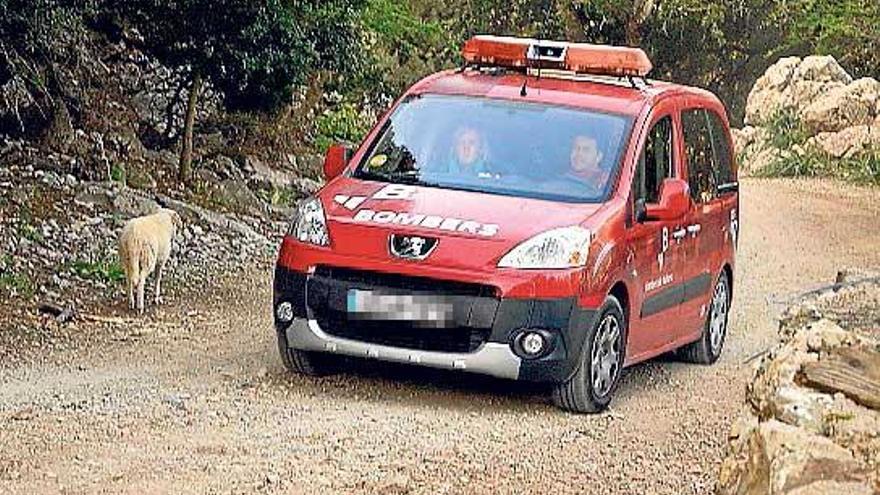 Dotaciones de los Bombers de Mallorca auxiliaron ayer por la tarde a un hombre de 30 años que resultó herido al sufrir una caída en el Torrent de Pareis, en Escorca.