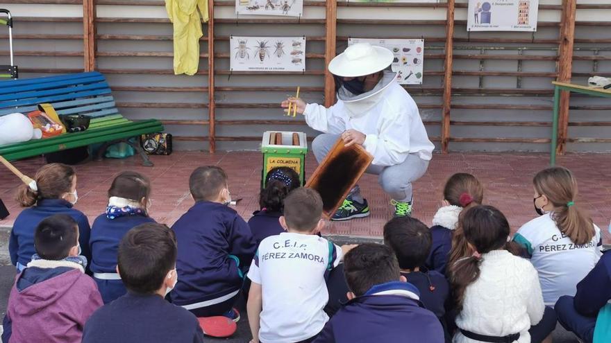 Los escolares realejeros se acercan a la apicultura gracias al proyecto &#039;Colmena Ambulante&#039;