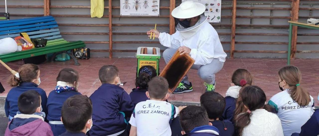 Una actividad del proyecto Colmena Ambulante en Los Realejos