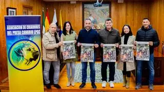 Moya celebra el I Concurso Monográfico del Presa Canario