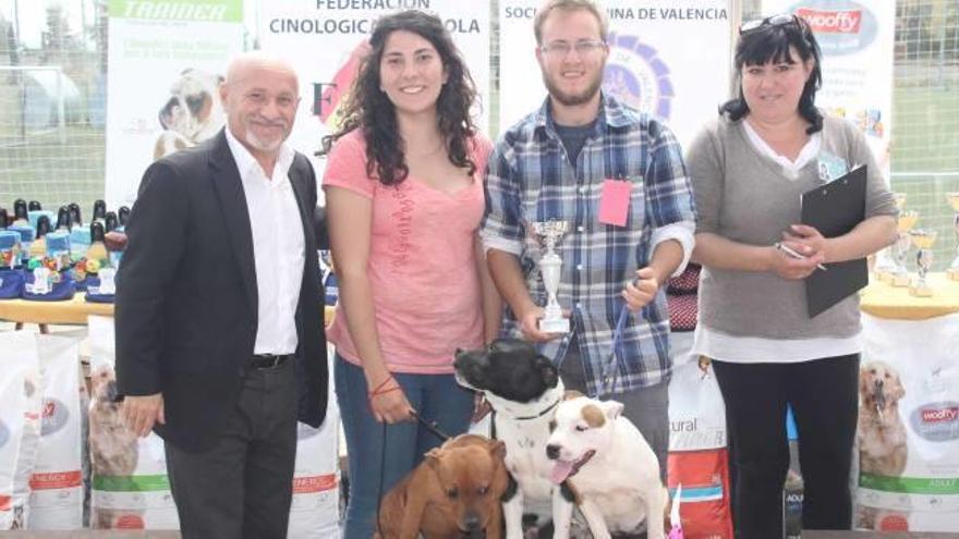 Más de 80 perros participan en la tercera edición del Concurso Canino en el Parc Central de Torrent