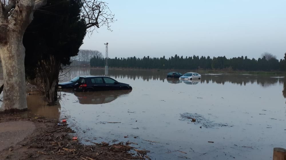 El creixement del Ter ha causat inundacions a Torroella