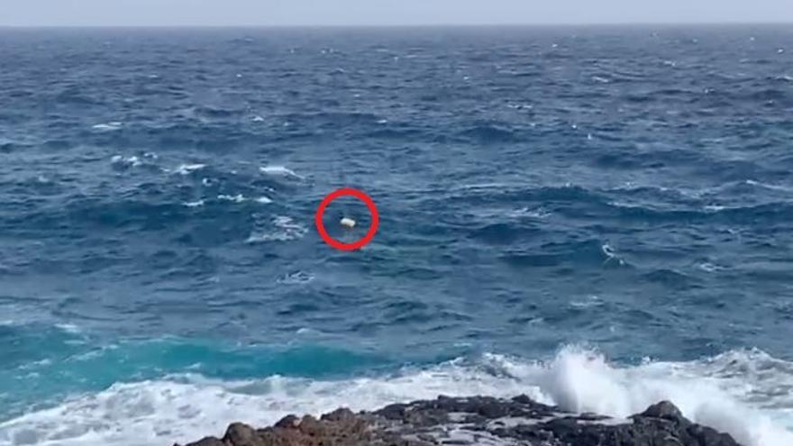 En el círculo en rojo, el fardo que apareció flotando en la costa de Charco del Palo, ayer.