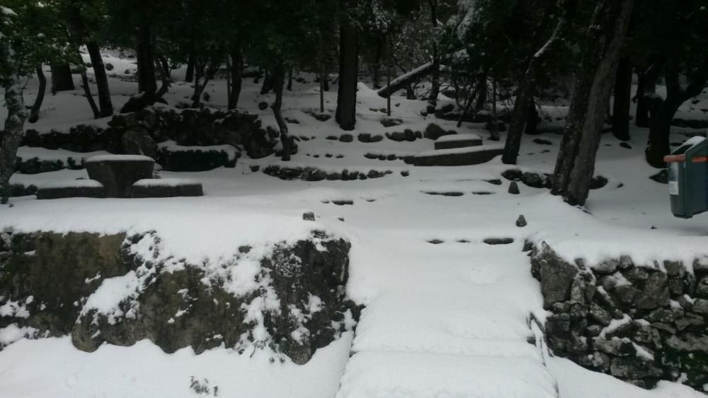 Mallorca, en riesgo importante por nevadas este sábado