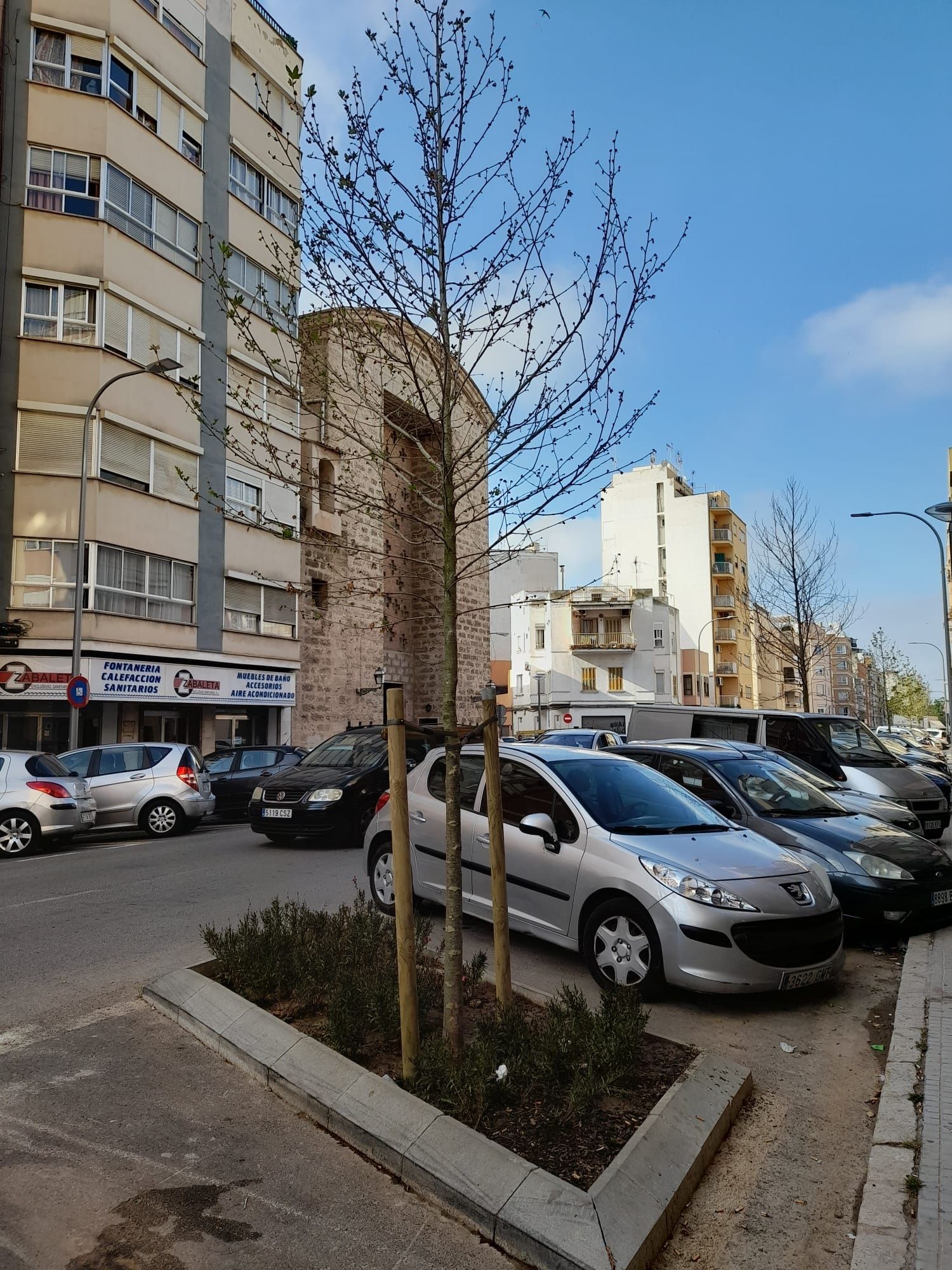 Se han plantado nuevos árboles en la calle Adrià Ferran.