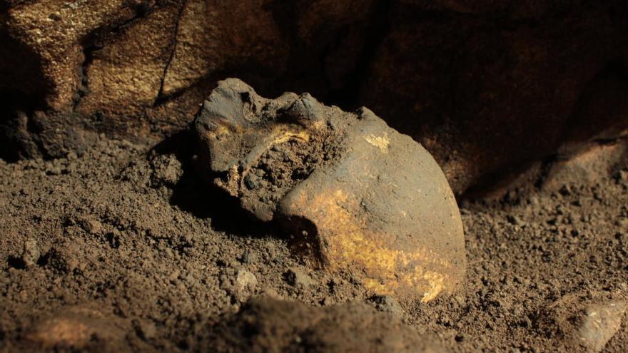 Hallan un cráneo de hace 5.000 años en la Cova del Randero de Pedreguer