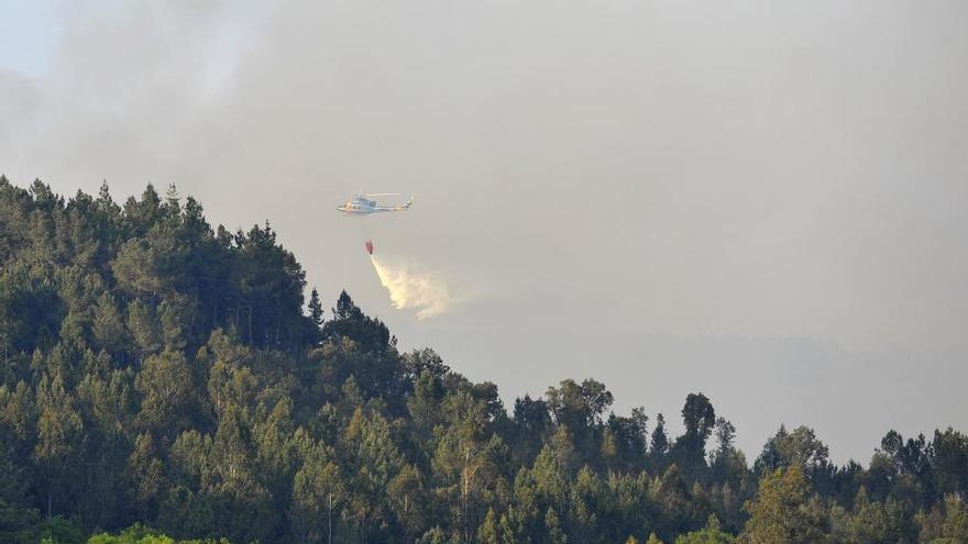 El incendio de Toiriz arrasa unas treinta hectáreas de arbolado