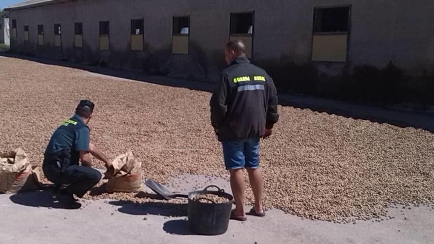 Arrestados por intentar robar quince toneladas de almendra