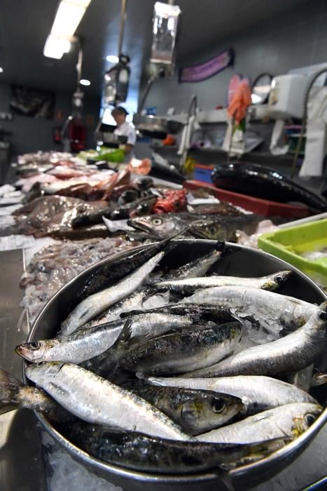 San Juan A Coruña 2017: Sardinas en las plazas