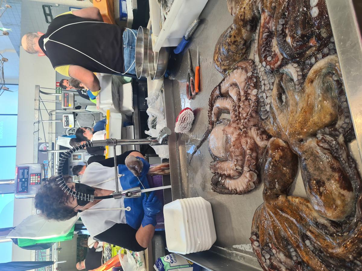 Pulpo a la venta en la plaza de abastos de Vilagarcía. Pulpo a la venta en la plaza de abastos de Vilagarcía.