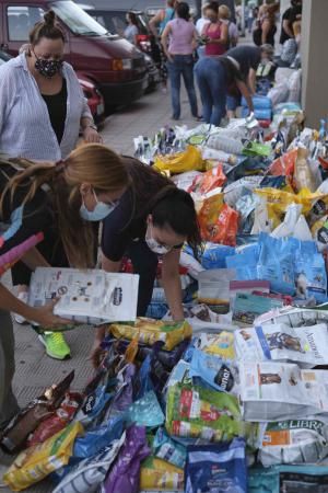 Recogida de productos para La Palma en Tenerife