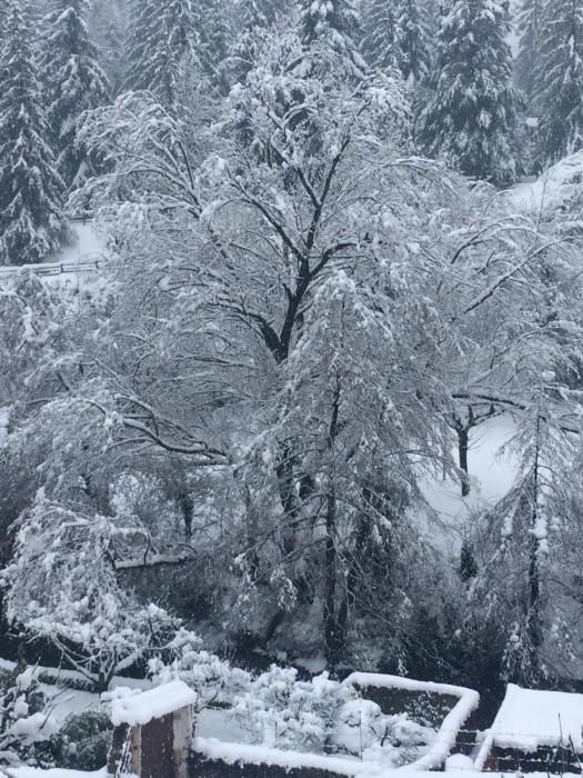 Els efectes de la nevada a Bagà.