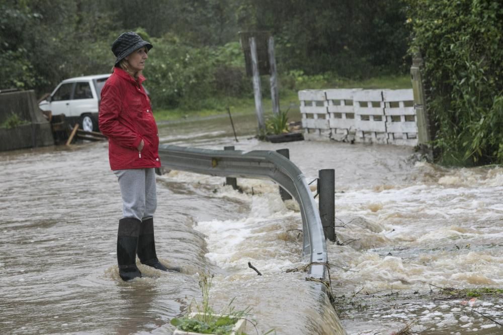 Temporal en Asturias: Las intensas lluvias dejan ríos desbordados y carreteras cortadas en el Oriente