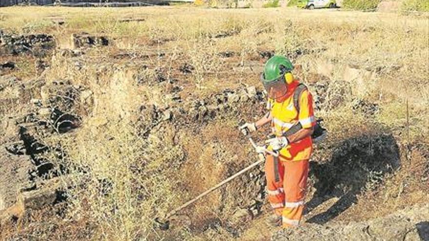 Sadeco limpia solares públicos para evitar fuegos