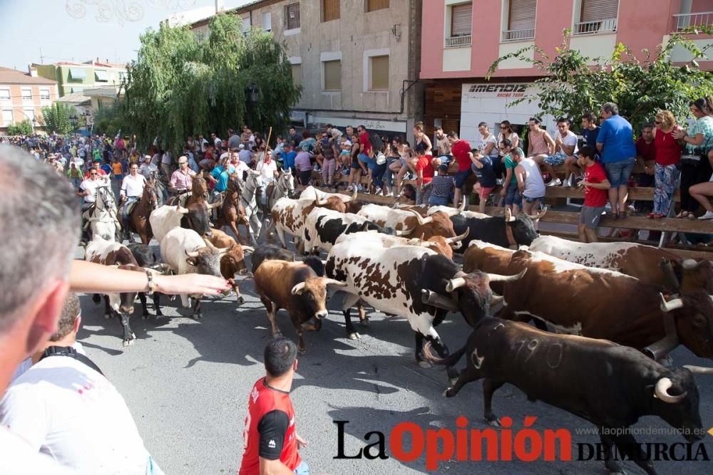 Quinto encierro en Moratalla