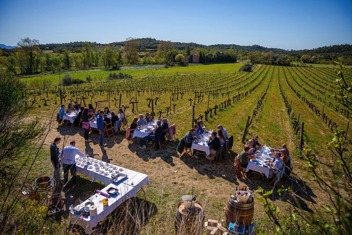 Esmorzar entre vinyes al Celler Pere Guardiola & Restaurant Falconera.