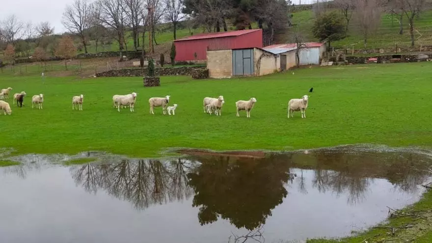 Aliste se recupera de la sequía y acaba 2022 con 98 días de lluvia
