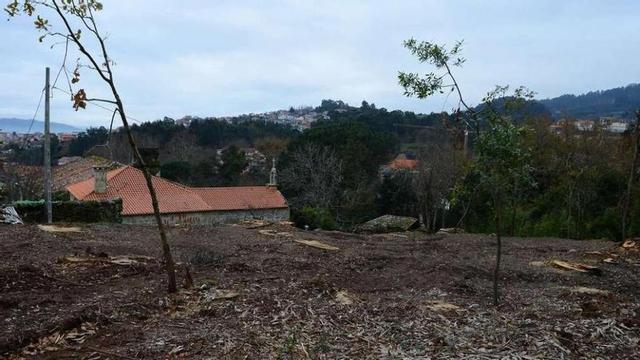 Estado del monte, ya sin apenas eucaliptos. // Gonzalo Núñez