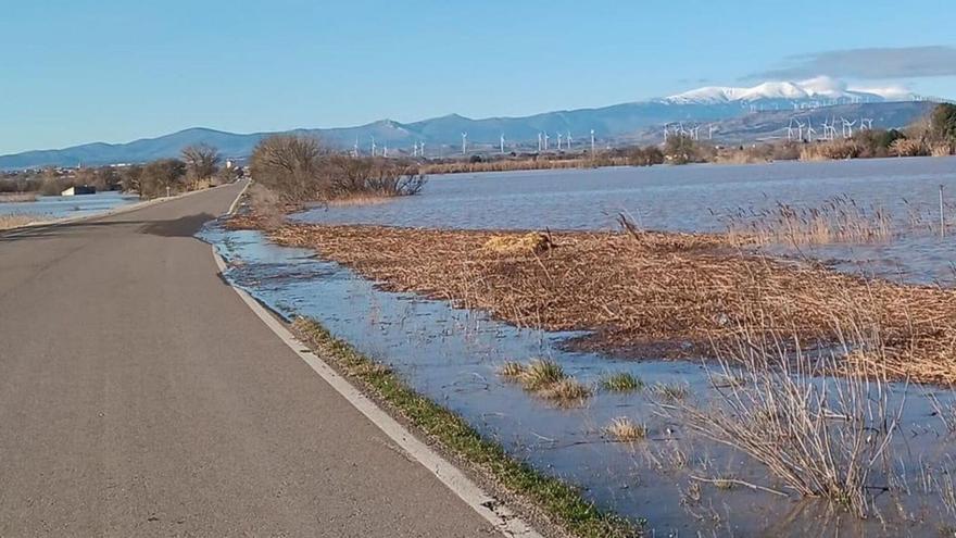 El Ebro  se desborda a su paso por Novillas