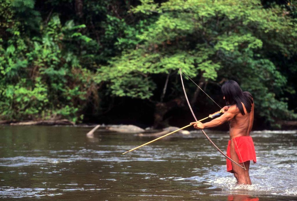 pesca zona brasilena