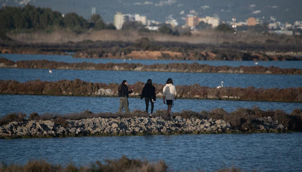 Tres jóvenes paseando tranquilamente por los estanques de es Codolar.