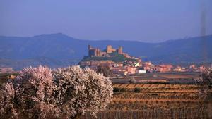 Ametllers florits a San Vicente de la Sonsierra.