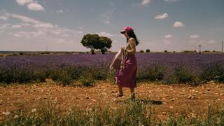 El Gran Prix de la lavanda: así rivalizan con Brihuega varios pueblos por ser la Provenza española