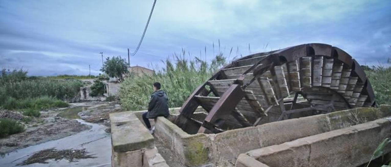 Una imagen de las norias gemelas de Orihuela, que aspiran ahora a ser declaradas como Bien de Interés Cultural y que han sido restauradas en parte.