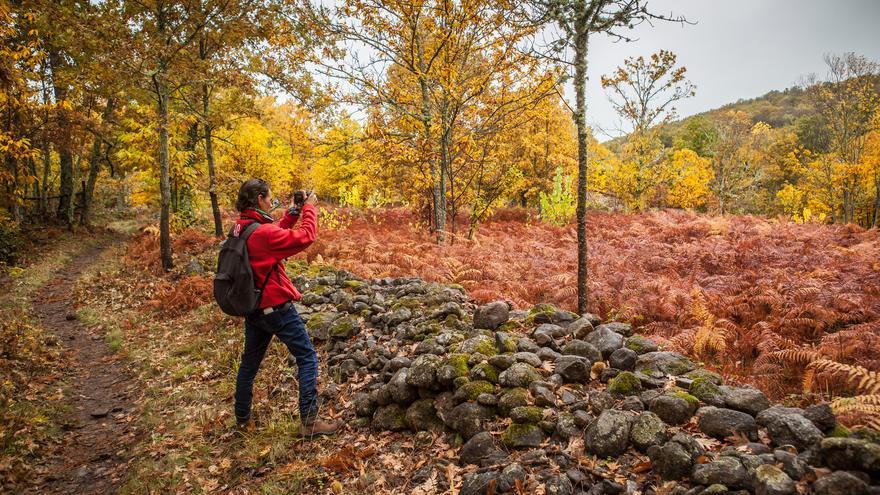 Guía para no perderse el 25º aniversario del &#039;Otoño Mágico&#039; en el Valle del Ambroz