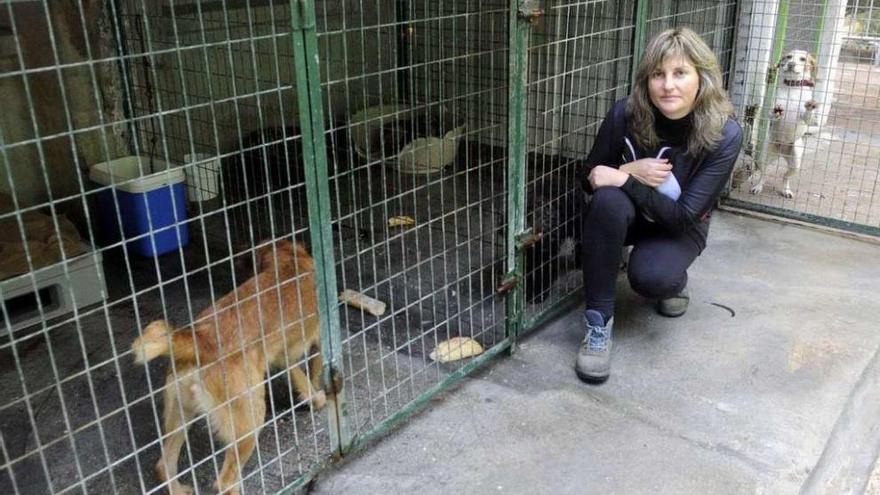 Olga Costa, en el Refugio de Animales de Cambados. // Noé Parga