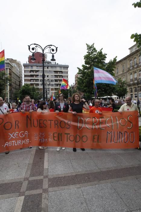 Manifestación del Orgullín del Norte.