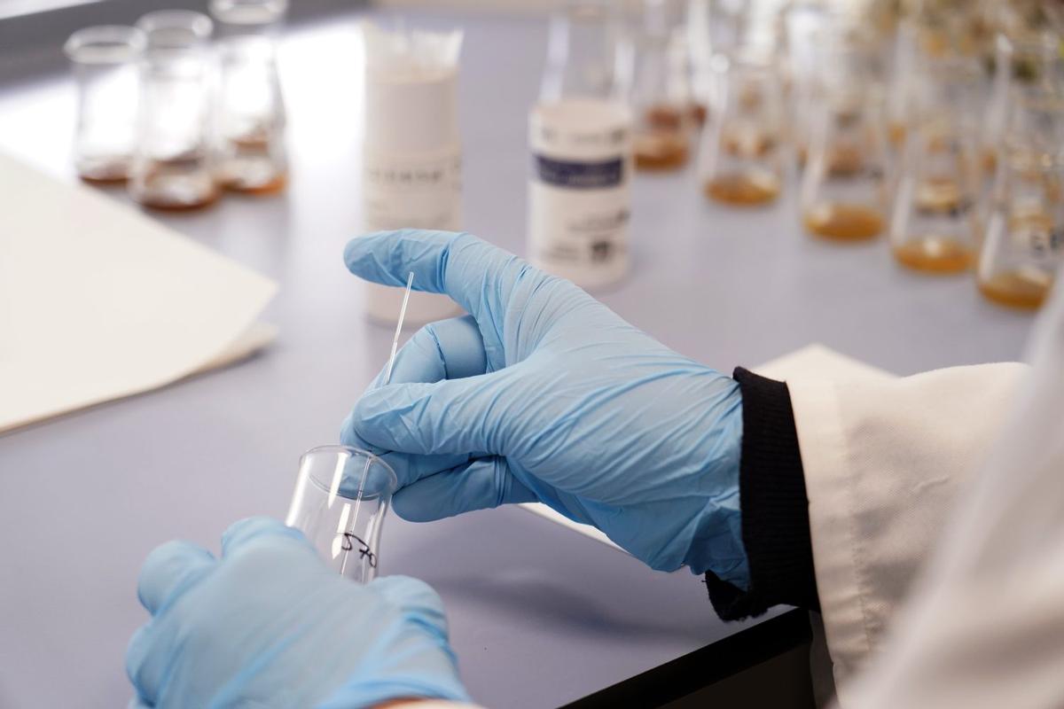 Análisis de muestras en el laboratorio de Madrid Salud.