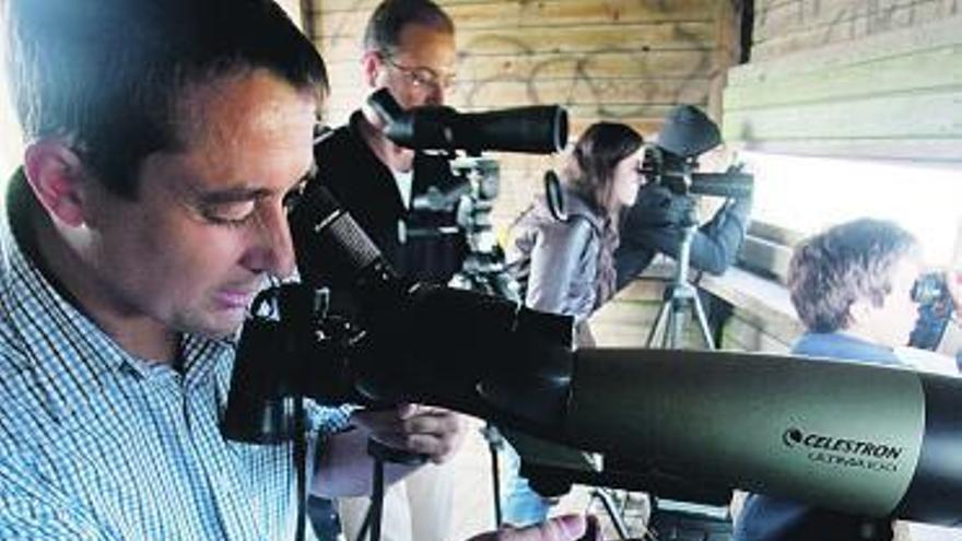 Participantes en la visita guiada para el avistamiento de aves en Zeluán.