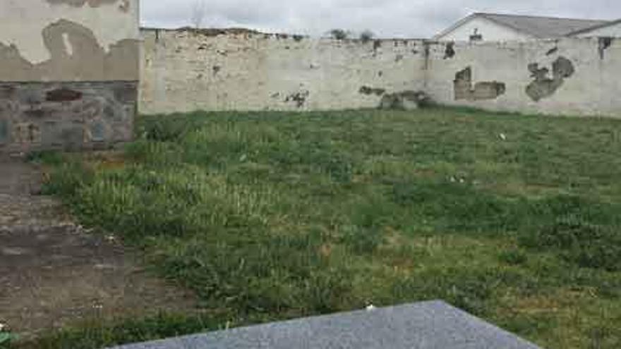 Terreno del cementerio de Alcañices donde se procederá a la exhumación.