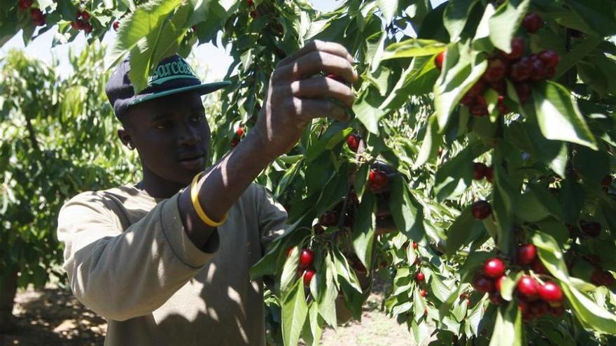 UPA organiza una jornada para analizar la incorporación de jóvenes agricultores al sector