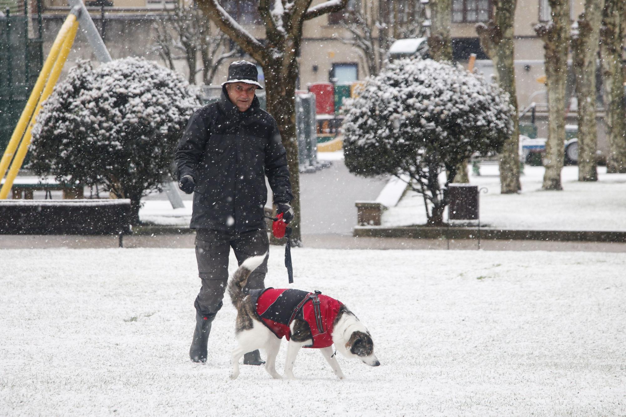 EN IMÁGENES: La borrasca Juliette lleva la nieve casi hasta la costa en Asturias