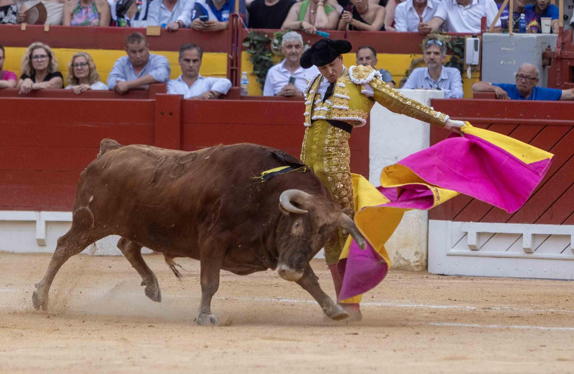 Manzanares, Roca Rey y Navalón no defraudan en la Feria de Hogueras 2025