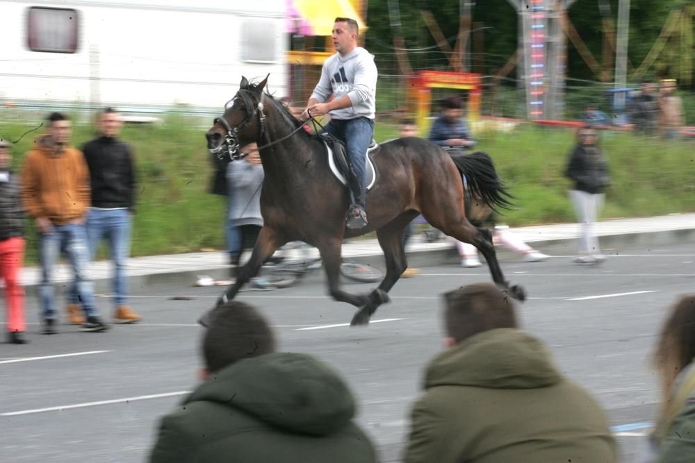 Los caballos comienzan a trotar en Lalín