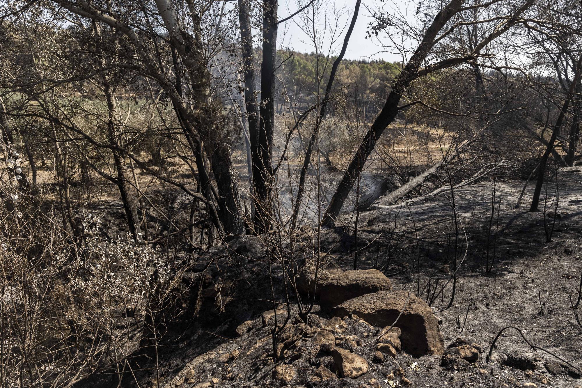 El incendio de Bejís, en imágenes