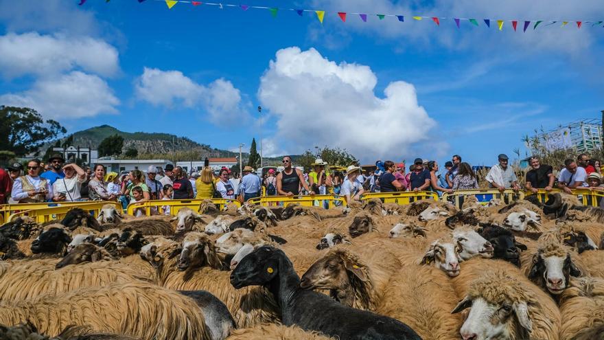 Miles de personas eligen Caideros y la Fiesta de la Lana para celebrar el Día de Canarias