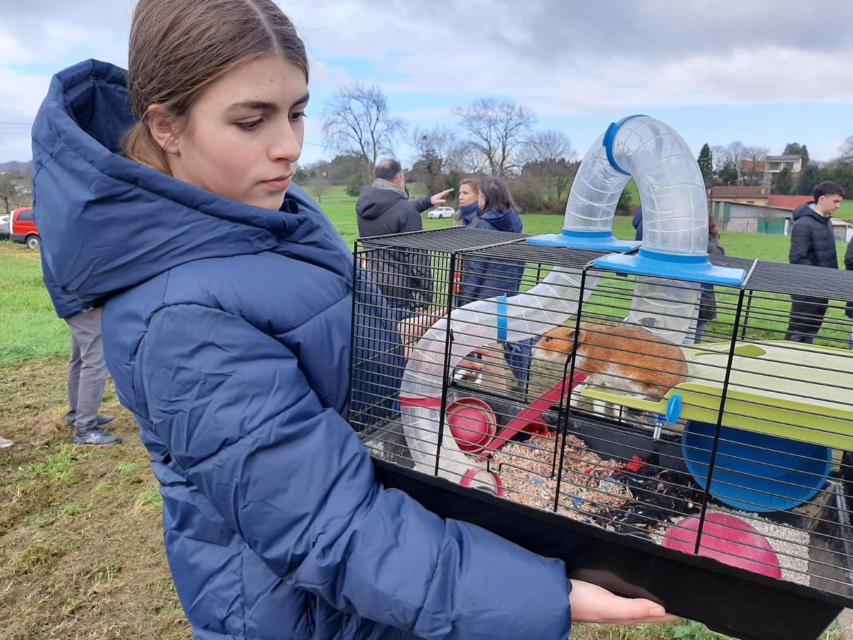 Robledo, en Llanera, bendice a sus mascotas por San Antón