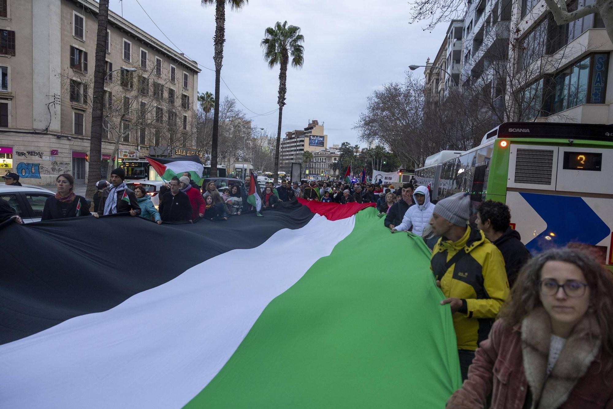 Varios cientos de personas exigen en Palma el fin del «genocidio» israelí