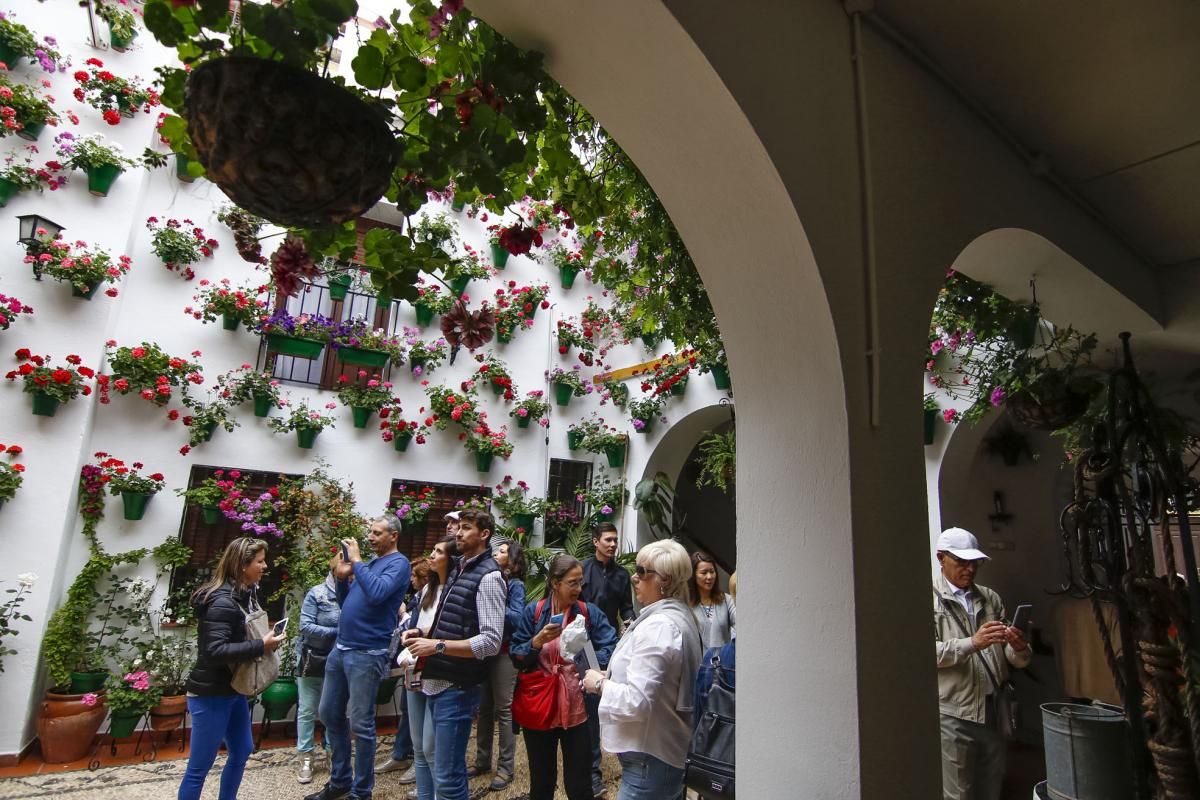 Paseando por el Alcázar Viejo