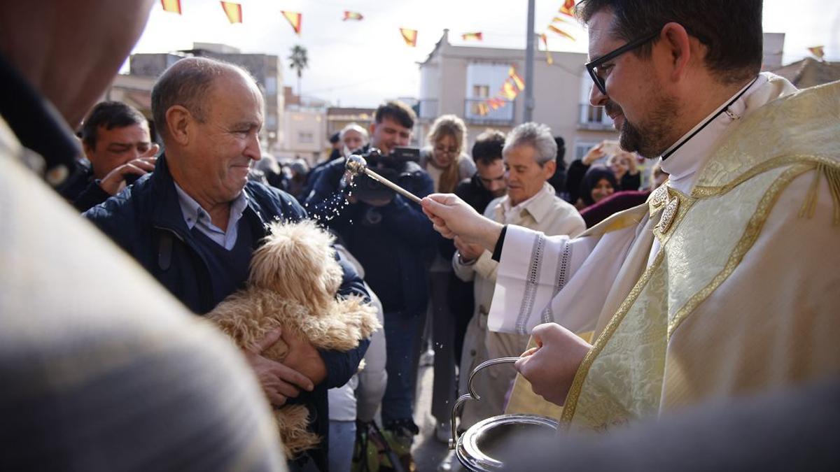La bendición de animales por San Antón en Cartagena