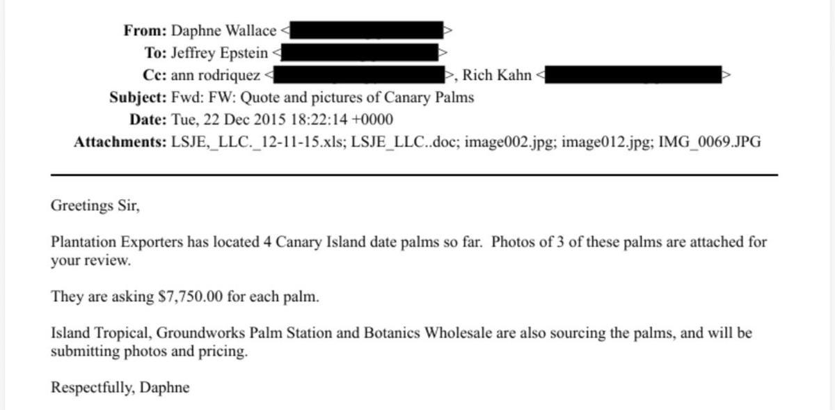 Palmera canaria a 7.750 dólares